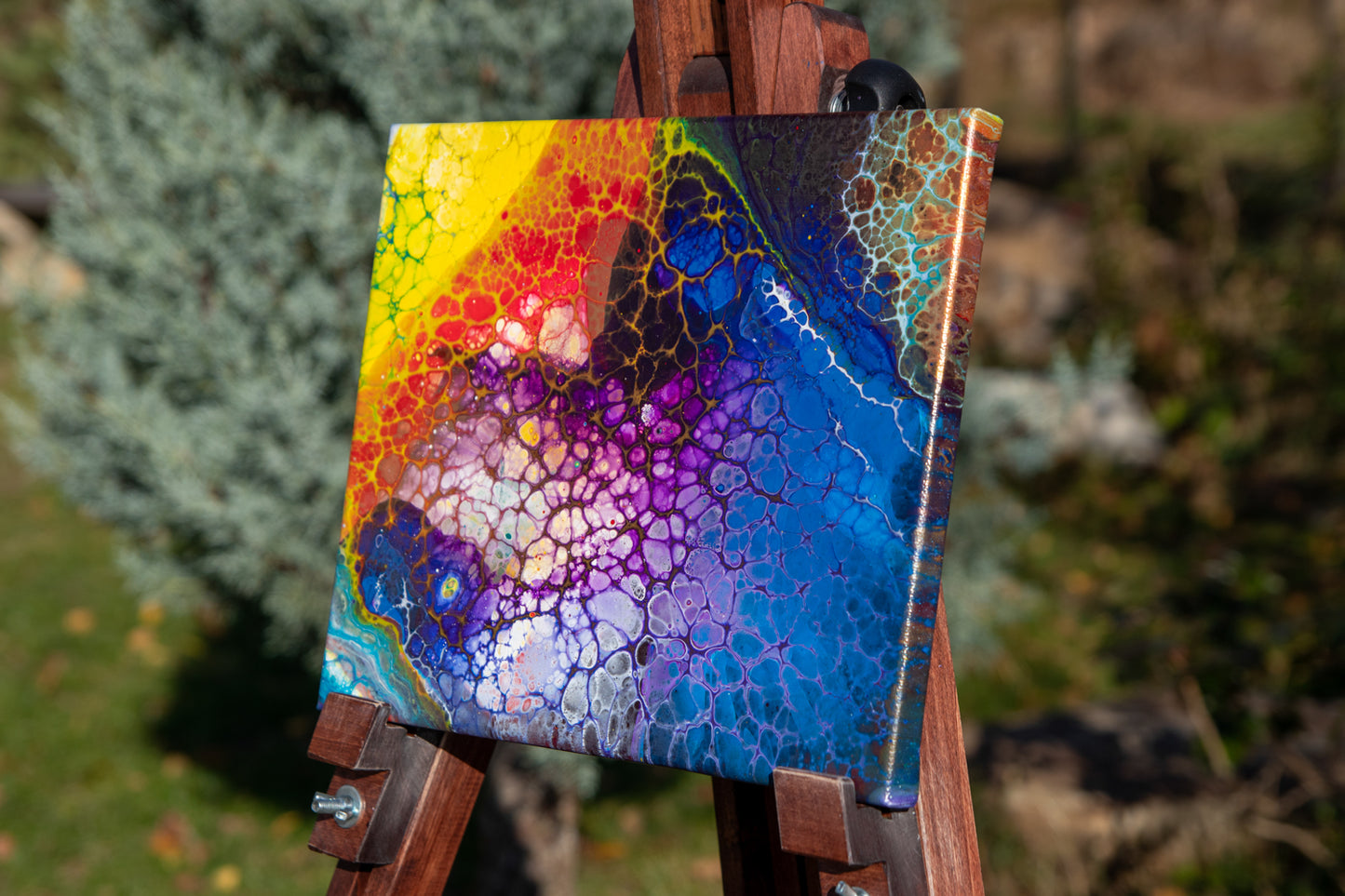 Colours at the bottom of the ocean 25x30 cm